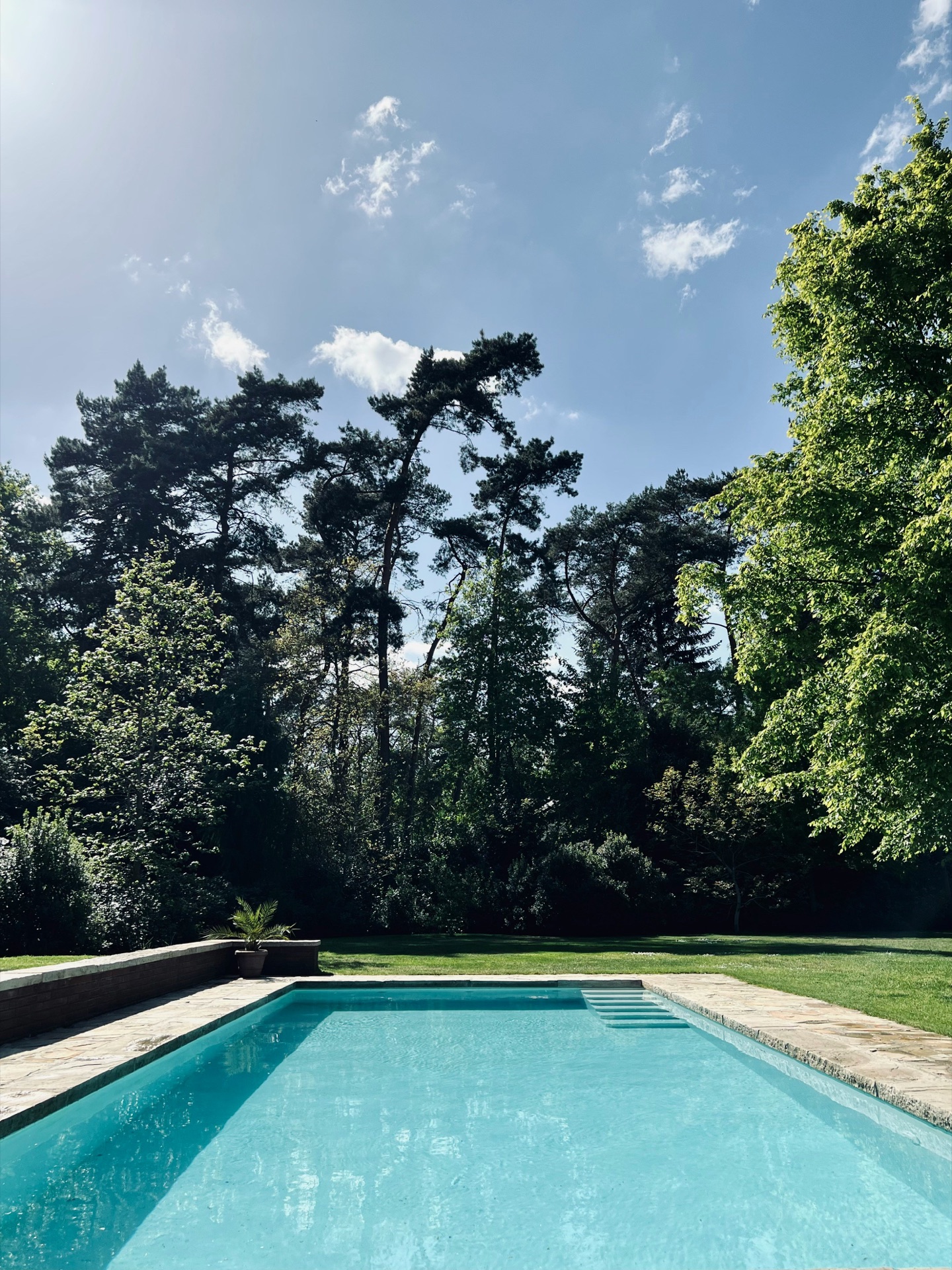 Serene private pool surrounded by lush trees.